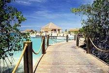 Image of dock in Aruba